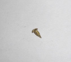 Brass Rivet 1.8x5 Honda Minitrail Z50 K5-77 OEM-hondanuts-Z50-CT70-QA50-SL70-XR75-parts-NOS-OEM-Honda
